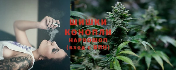 Альфа ПВП Пестово