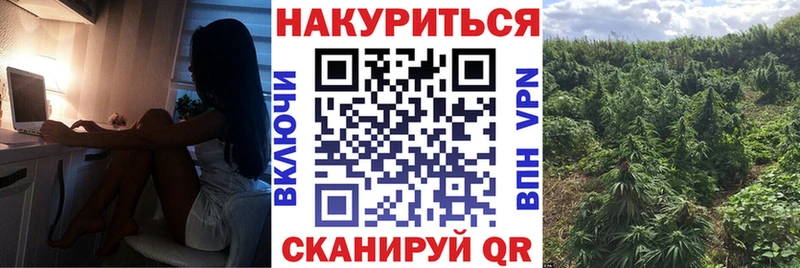 наркотики  Новомичуринск  omg рабочий сайт  Бошки марихуана THC 21% 